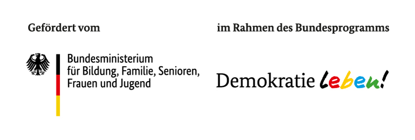 Logo queer im dualen System
